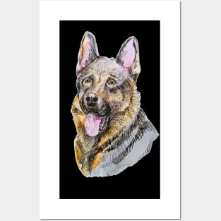 German shepherd Posters and Art